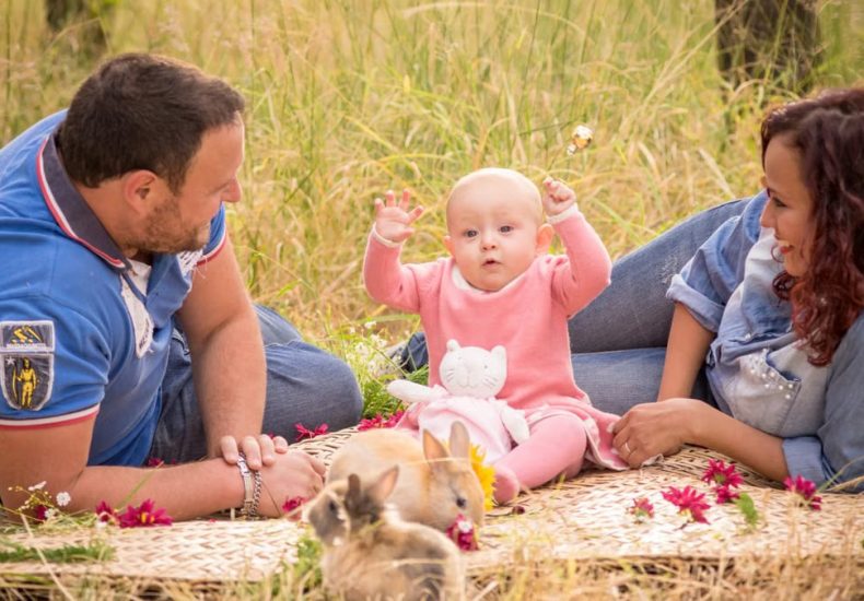 A family enjoying a picnic outdoors with their baby and rabbits.